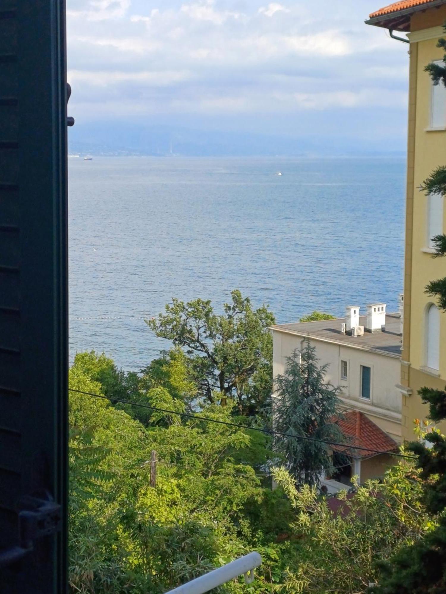 Zdenka - 100 M From The